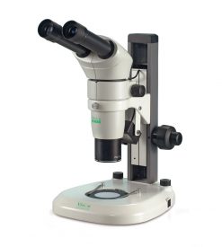 SX80 Stereo Microscope